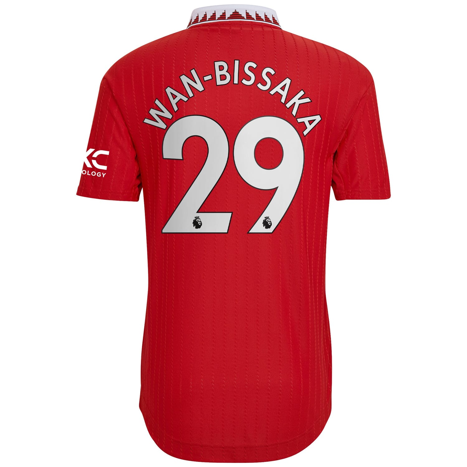 Premier League Manchester United Home Authentic Jersey Shirt 2022-23 player Aaron Wan-Bissaka 29 printing for Men