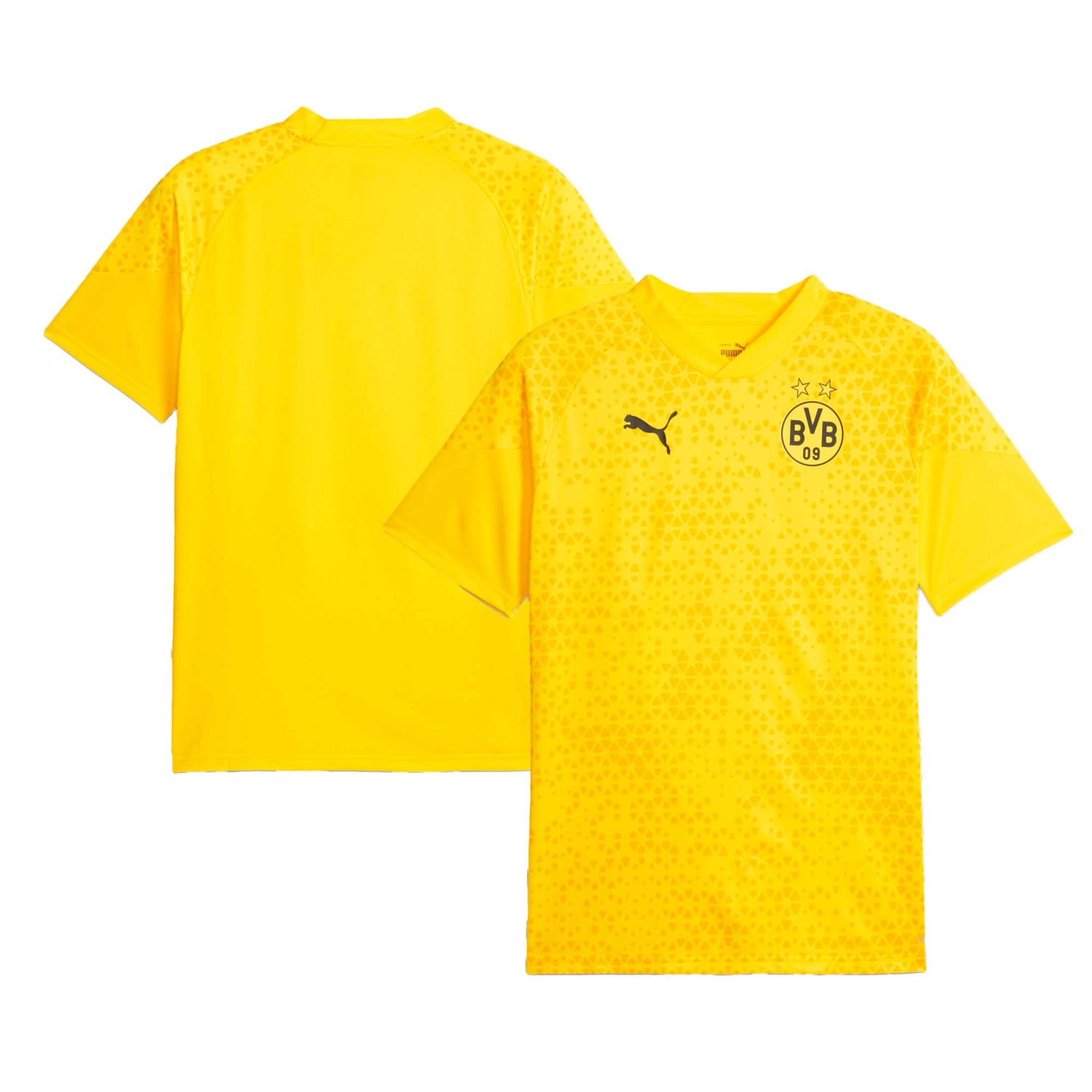 Bundesliga Borussia Dortmund Training Jersey Shirt Yellow 2023-24 for Men