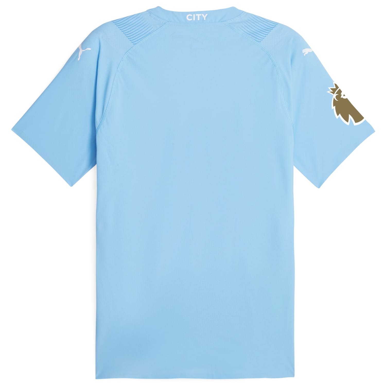 Premier League Manchester City Authentic Jersey Shirt Sky Blue 2023-24 for Men
