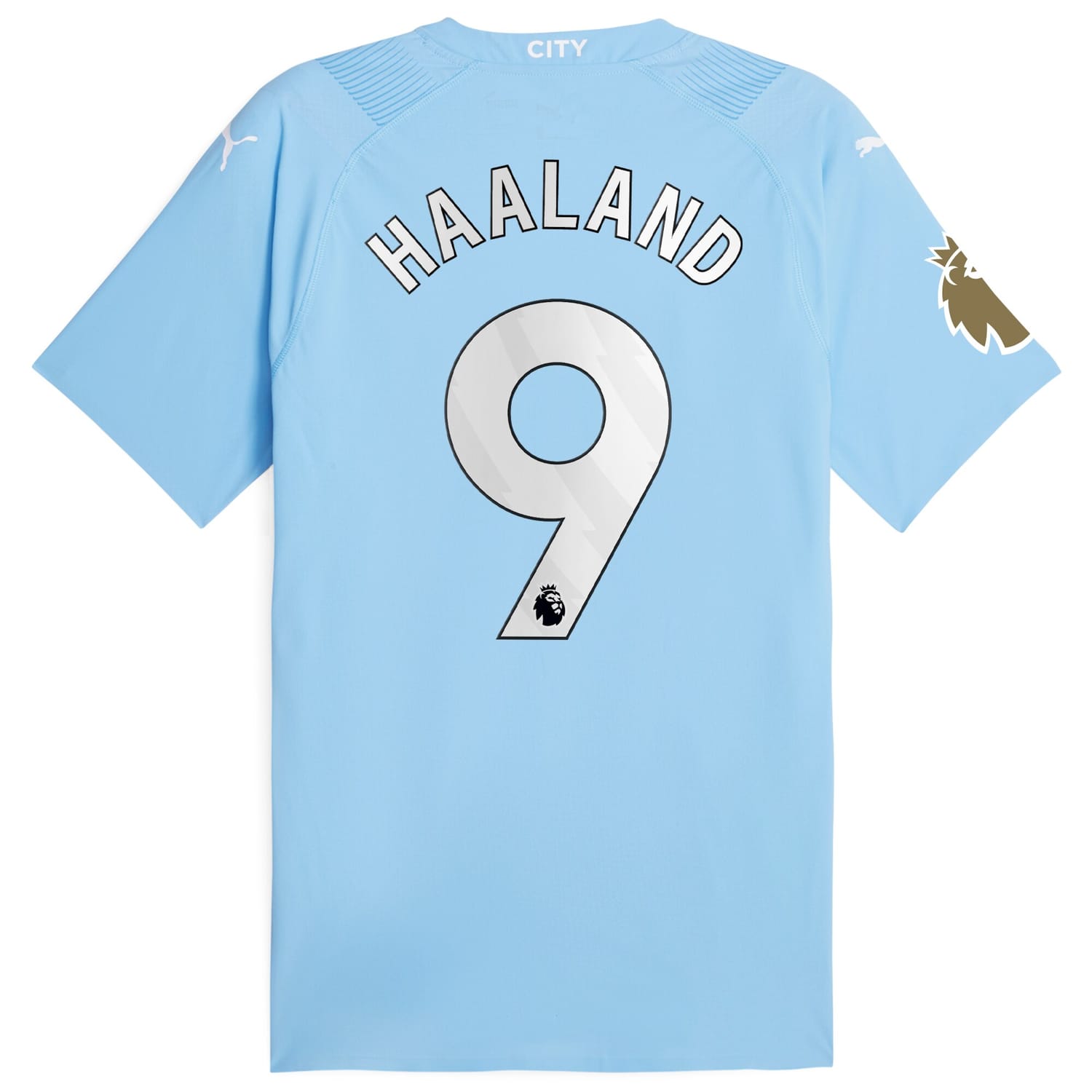 Premier League Manchester City Authentic Jersey Shirt Sky Blue 2023-24 player Erling Haaland printing for Men