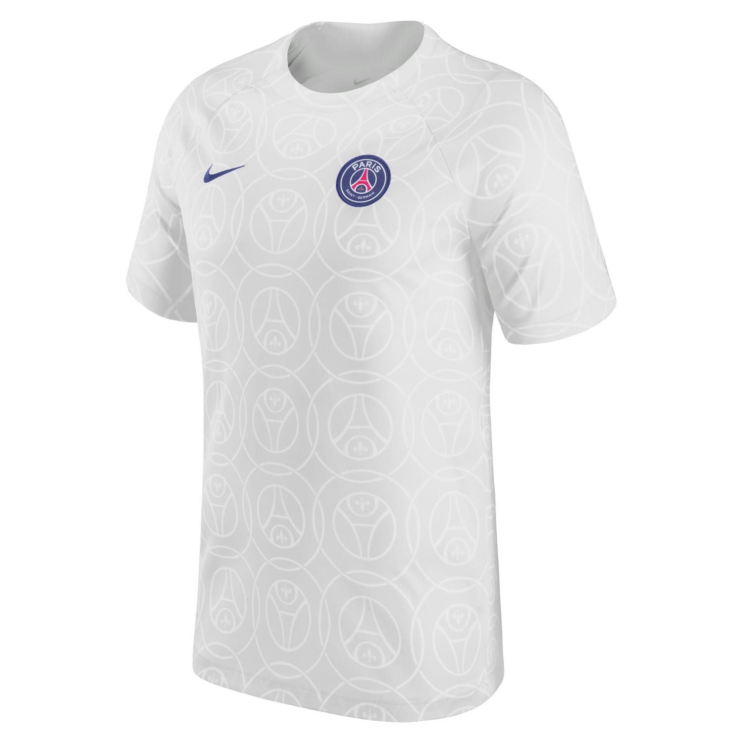 Ligue 1 Paris Saint-Germain Pre-Match Jersey Shirt Gray 2022-23 for Men