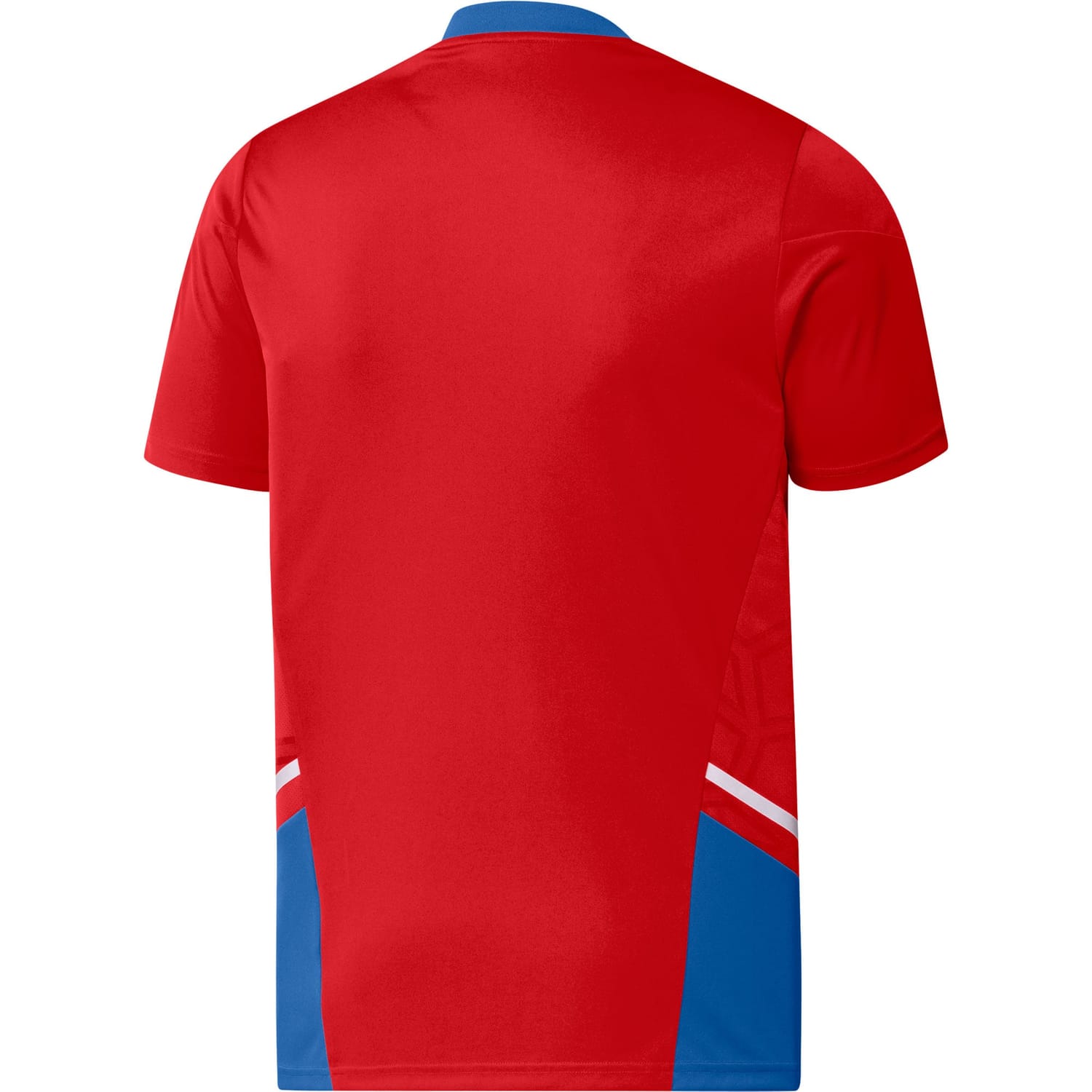 Bundesliga Bayern Munich Training Jersey Shirt Red 2022-23 for Men
