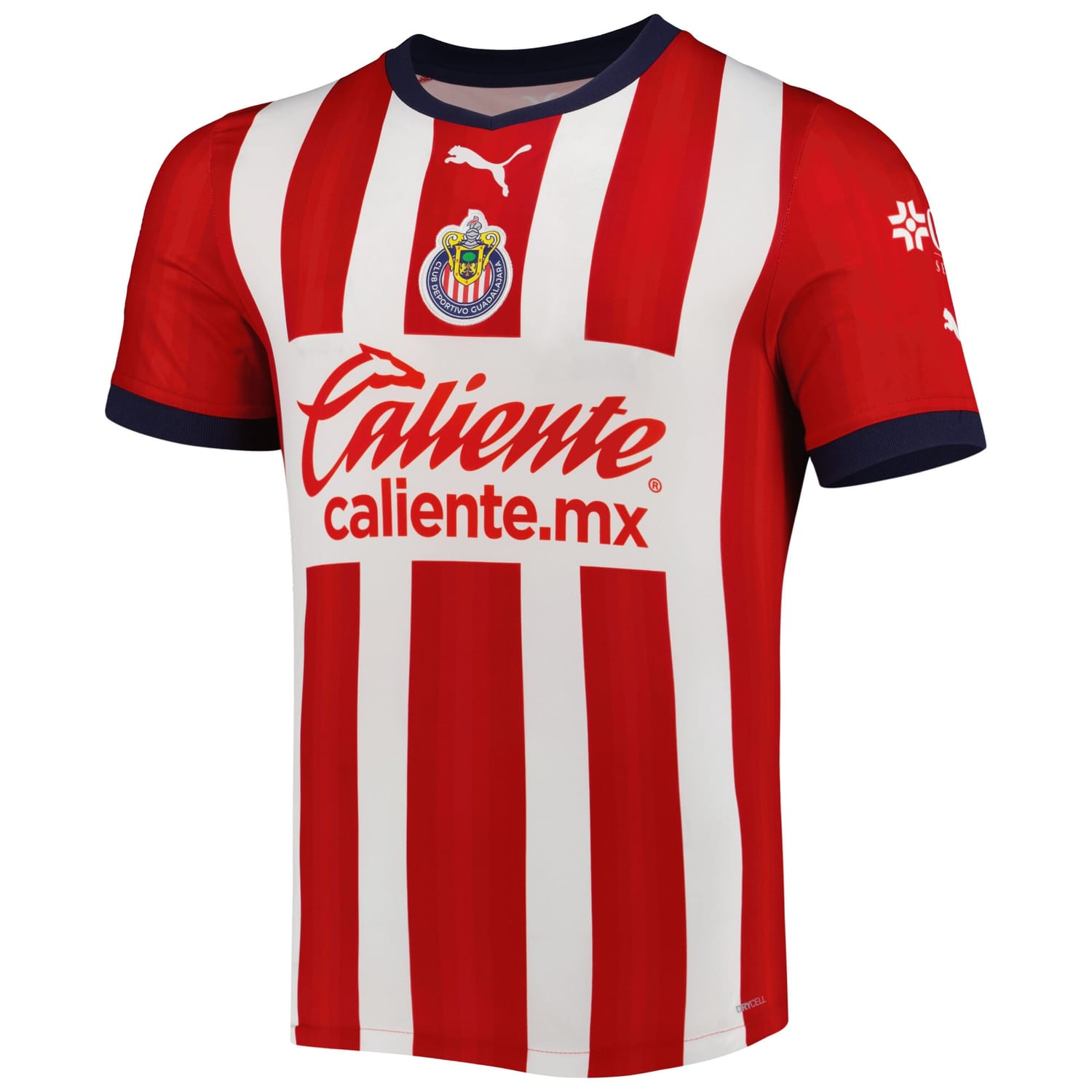 Liga MX Chivas Home Jersey Shirt Red 2022-23 for Men