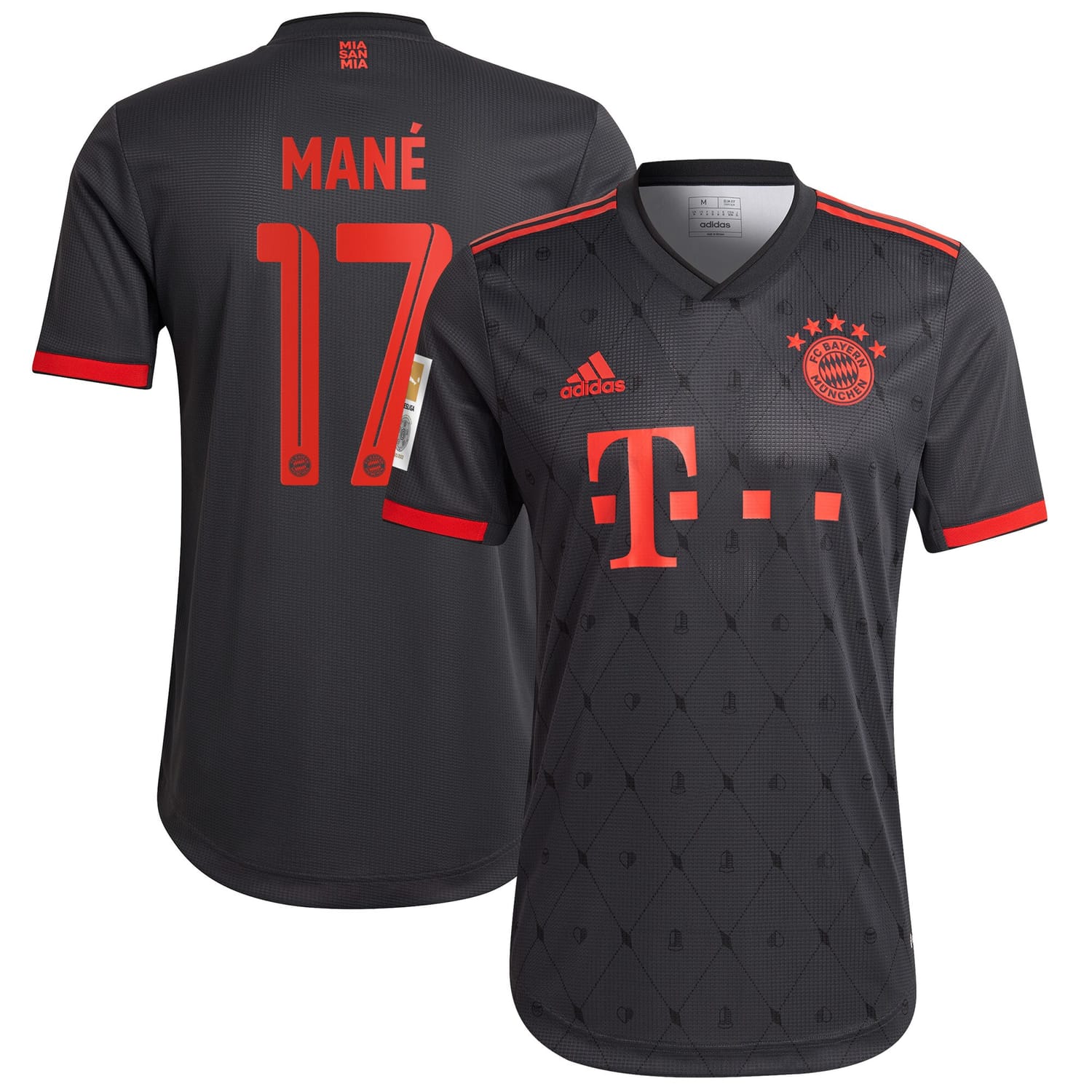 Bundesliga Bayern Munich Third Authentic Jersey Shirt Charcoal 2022-23 player Sadio Mané printing for Men