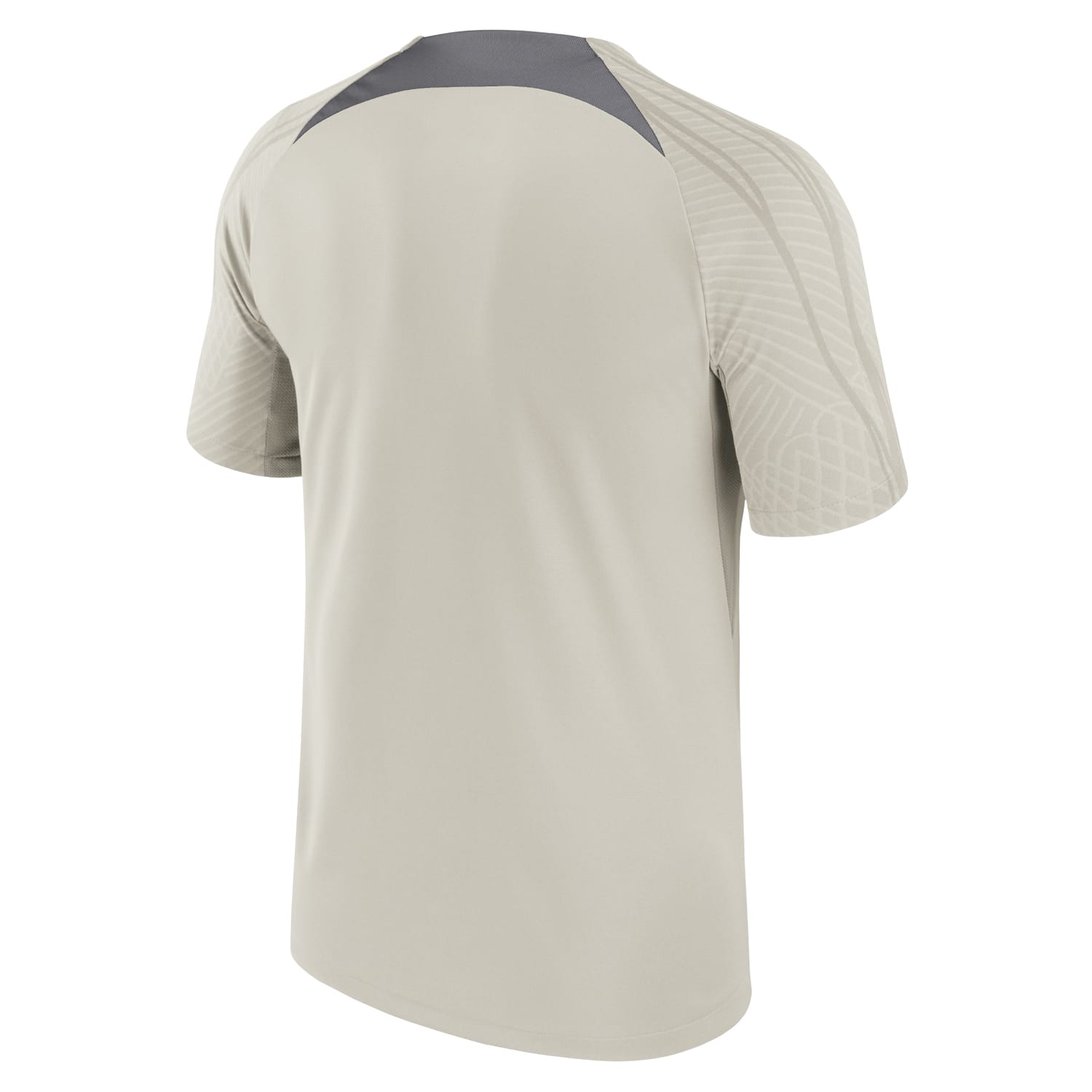 Ligue 1 Paris Saint-Germain Training Jersey Shirt Gray 2023-24 for Men